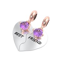 Charm Rerum Donna AMICIZIA in Argento Ametista 25031 - 25031